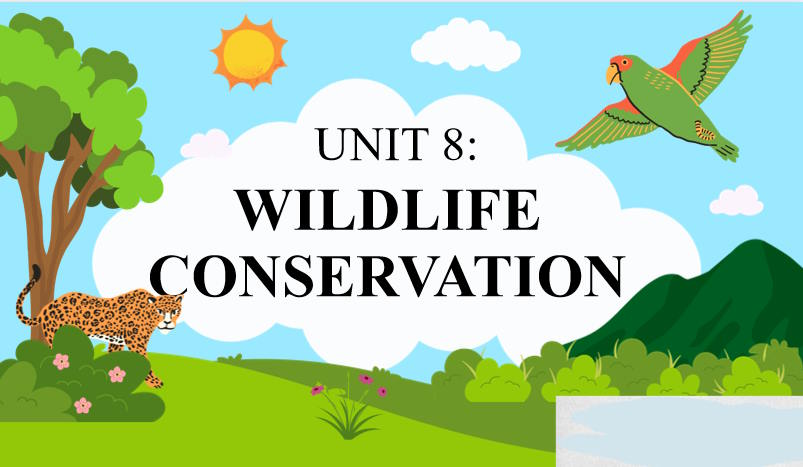 Giáo án Tiếng Anh 12 Unit 8: Language