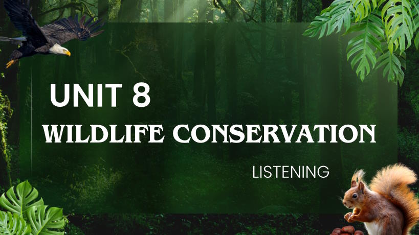 Giáo án Tiếng Anh 12 Unit 8: Listening