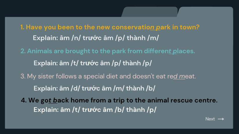 Giáo án Tiếng Anh 12 Unit 8: Looking Back