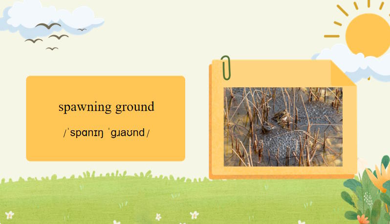 Giáo án Tiếng Anh 12 Unit 8: Reading