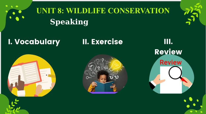 Giáo án Tiếng Anh 12 Unit 8: Speaking