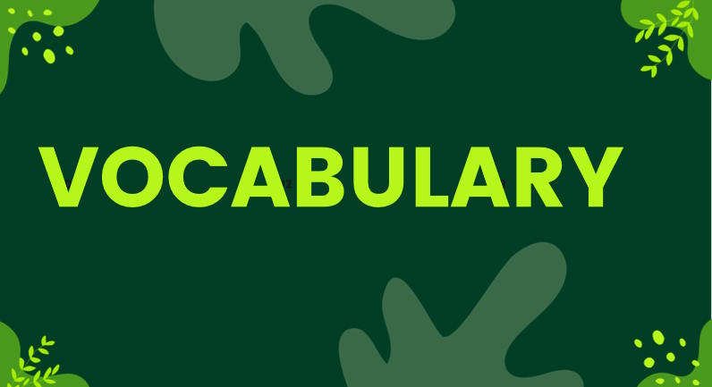 Giáo án Tiếng Anh 12 Unit 8: Speaking