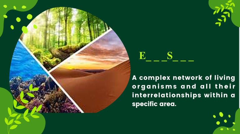 Giáo án Tiếng Anh 12 Unit 8: Speaking