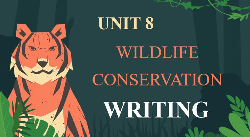 Giáo án Tiếng Anh 12 Unit 8: Writing