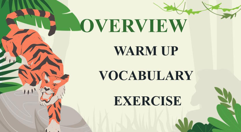 Giáo án Tiếng Anh 12 Unit 8: Writing