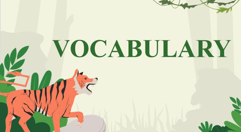 Giáo án Tiếng Anh 12 Unit 8: Writing