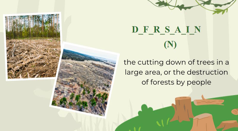 Giáo án Tiếng Anh 12 Unit 8: Writing