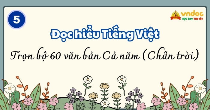 Bộ 62 bài Đọc hiểu Tiếng Việt lớp 5 Chân trời sáng tạo Cả năm (Có đáp án)