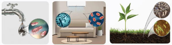 Đề thi giữa học kì 2 môn Khoa học lớp 5