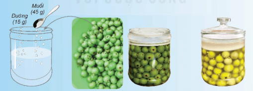 Đề thi giữa học kì 2 môn Khoa học lớp 5 