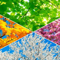 Giáo án Tiếng Việt 2 Bài 2: Mở rộng vốn từ Bốn mùa. Nói và đáp lời mời, lời khen ngợi