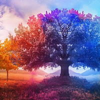 Giáo án Tiếng Việt 2 Bài 4: Mở rộng vốn từ Bốn mùa (tiếp theo). Nghe - kể Sự tích mùa xuân và bộ lông trắng của thỏ