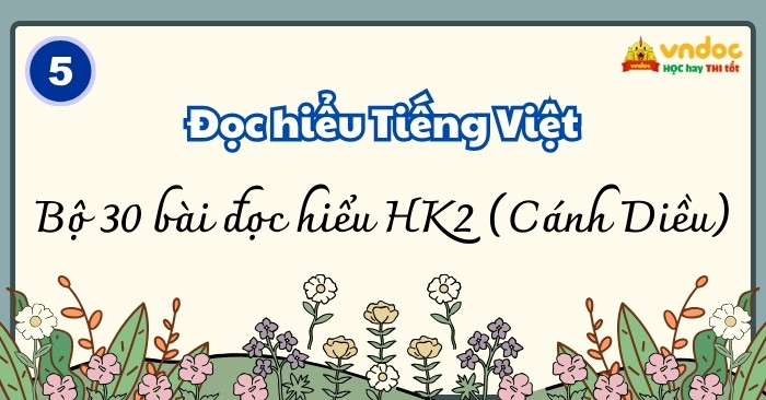 Bộ 30 bài Đọc hiểu Tiếng Việt lớp 5 Học kì 2 Cánh Diều (Có đáp án)