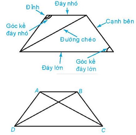 Lý thuyết Toán 6 bài 19: Hình chữ nhật, hình thoi, hình bình hành, hình thang cân