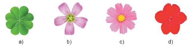 Lý thuyết Toán 6 bài 22: Hình có tâm đối xứng