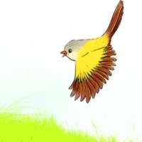 Giáo án Tiếng Việt 2 Bài 1: Đọc Chuyện của vàng anh