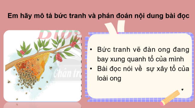 PowerPoint Tiếng Việt 2 Bài 2: Đọc Ong xây tổ