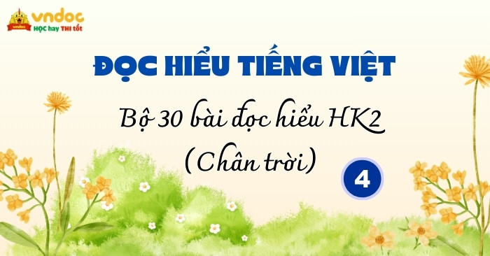 Bộ 30 bài Đọc hiểu Tiếng Việt lớp 4 Học kì 2 Chân trời sáng tạo (Có đáp án)