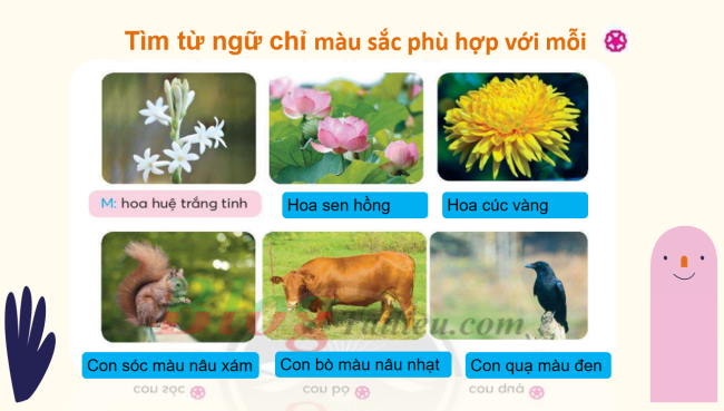 PowerPoint Tiếng Việt 2 Bài 3: Từ chỉ đặc điểm