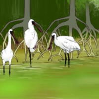 Giáo án Tiếng Việt 2 Bài 2: Đọc Rừng ngập mặn Cà Mau