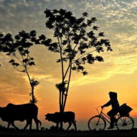 Giáo án Tiếng Việt 2 Bài 4: Mở rộng vốn từ Quê hương (tiếp theo). Nghe - kể Sự tích Hồ Gươm