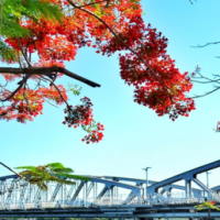 Giáo án Tiếng Việt 2 Bài 4: Nghe - viết Sông Hương. Phân biệt eo/oe, iu/iêu, an/ang