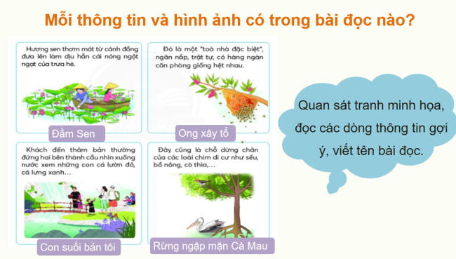 PowerPoint Tiếng Việt 2 Ôn tập giữa học kì II - Ôn tập 2