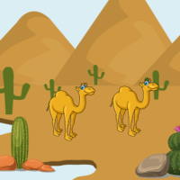 Giáo án Tiếng Việt 3 Bài 12: Phép mầu trên sa mạc