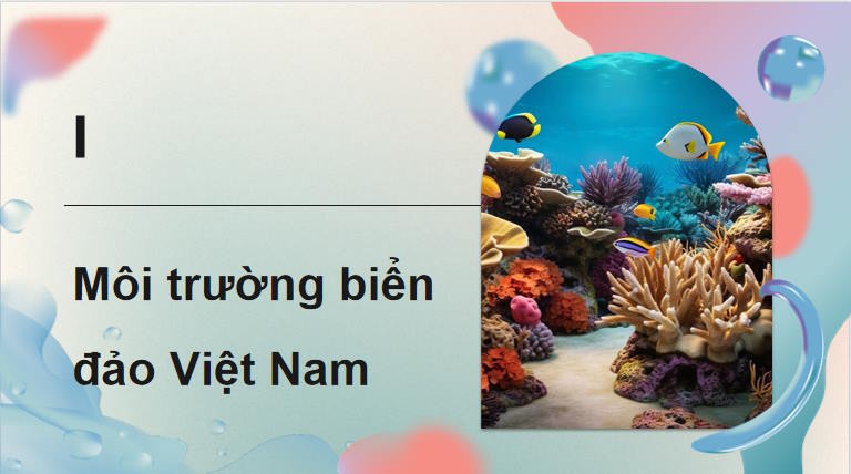  Môi trường và tài nguyên biển đảo Việt Nam