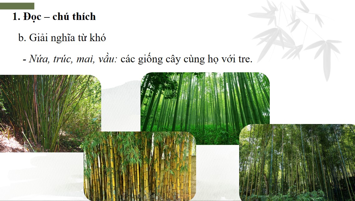 powerpoint ngu van 7 bai 9 cay tre viet nam5*901446