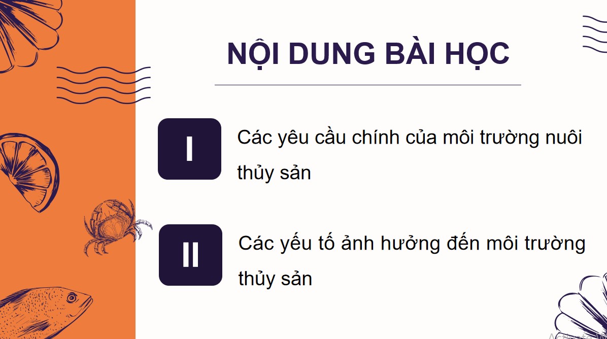 ppt cong nghe 12 kntt bai 10 3*901924