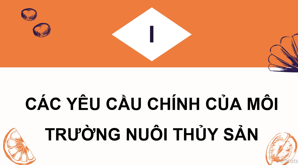 ppt cong nghe 12 kntt bai 10 4*901923