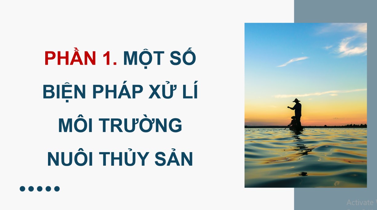 ppt cong nghe 12 kntt bai 12 4*902022