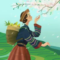 Giáo án Tiếng Việt 3 Bài 14: Nhớ Việt Bắc