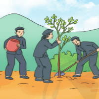 Giáo án Tiếng Việt 3 Bài 14: Kể chuyện Rừng gỗ quý