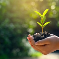 Giáo án Tiếng Việt 4 Bài 2: Nói về vai trò của cây xanh