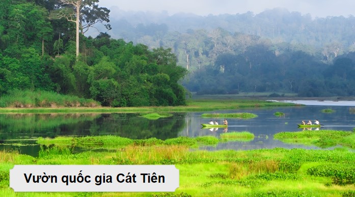 bai 2 noi ve vai tro cua cay xanh 3*902825