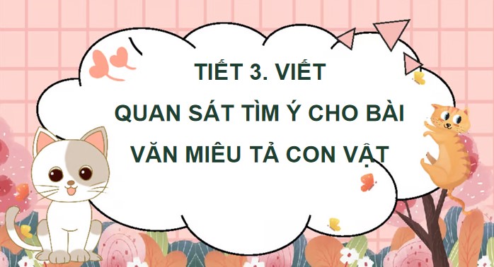 bai 2 quan sat tim y cho bai van mieu ta con vat 3*902839