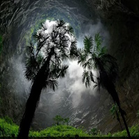 Giáo án Tiếng Việt 4 Bài 5: Biển và rừng cây dưới lòng đất