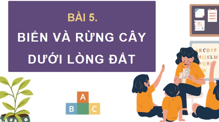 bai 5 bien va rung cay duoi long dat 3*902917