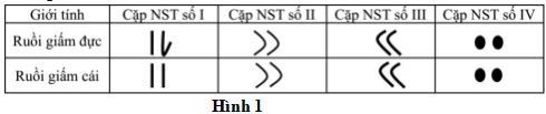 Thi THPT Quốc gia môn Sinh học