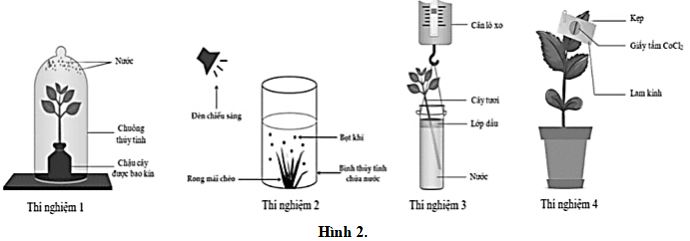 Đề thi thử THPT Quốc gia môn Sinh học
