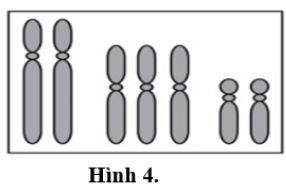 Đề thi thử THPT Quốc gia môn Sinh học