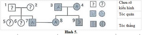 Đề thi thử THPT Quốc gia môn Sinh học