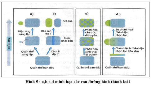Đề thi thử THPT Quốc gia môn Sinh học