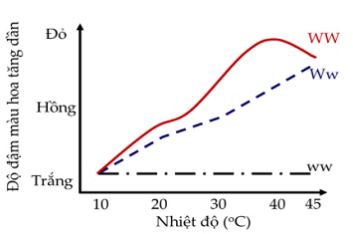 Đề thi thử THPT Quốc gia môn Sinh học