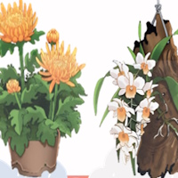 Giáo án Tiếng Việt 4 Bài 4: Luyện tập viết bài văn miêu tả cây cối