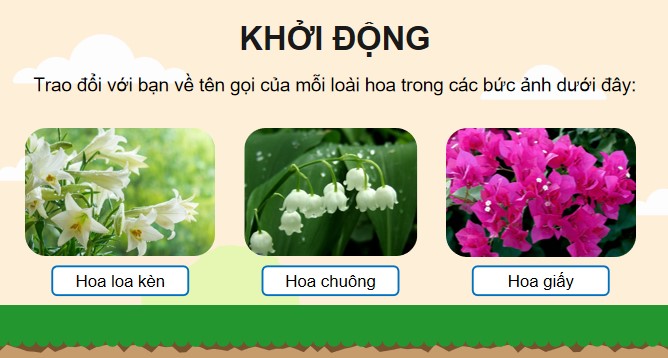 tieng viet 4 bai 5 hoa cuc ao 2*902440