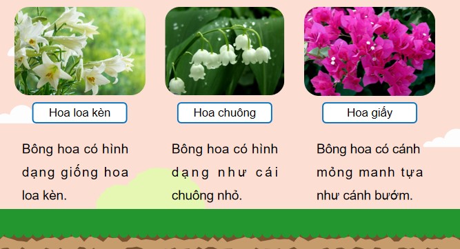 tieng viet 4 bai 5 hoa cuc ao 3*902445