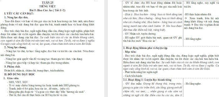 Giáo án Tiếng Việt 4 Hoa cúc áo